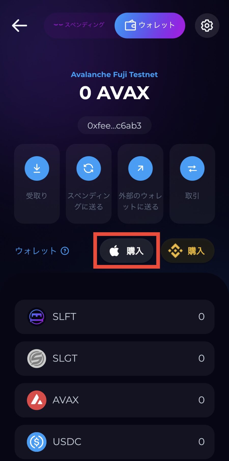 SleeFiの始め方-Apple Pay